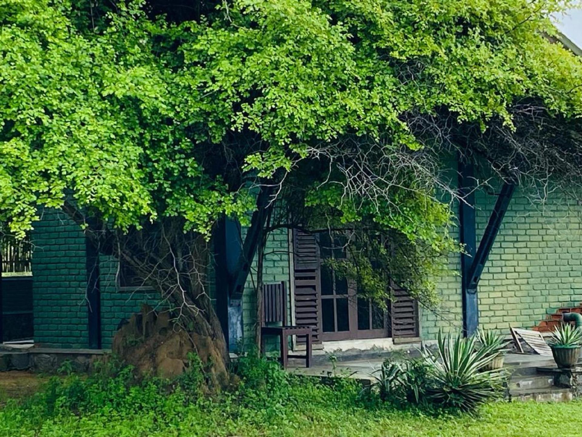 Yala Ying Yang Hostel & Camping Exterior foto