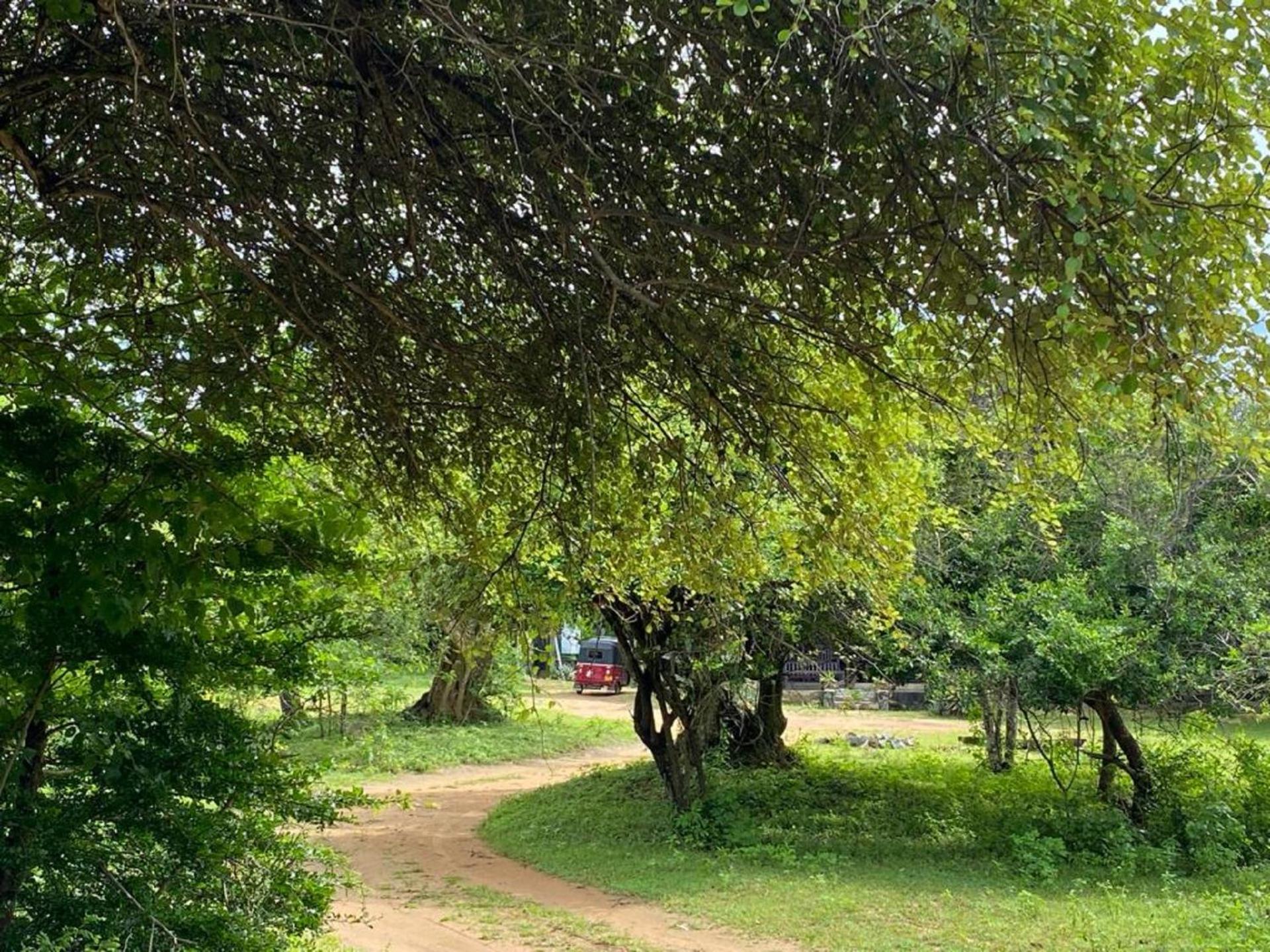 Yala Ying Yang Hostel & Camping Exterior foto