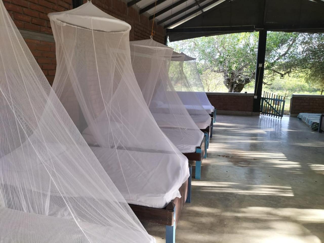 Yala Ying Yang Hostel & Camping Exterior foto