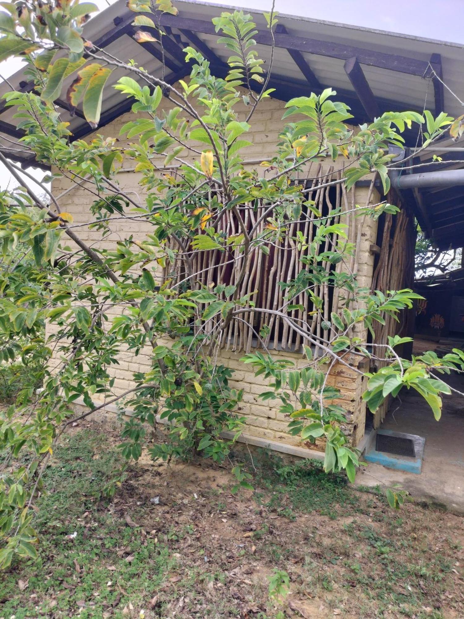 Yala Ying Yang Hostel & Camping Exterior foto